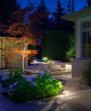 Low Voltage Night Lighting, Led and Halogen